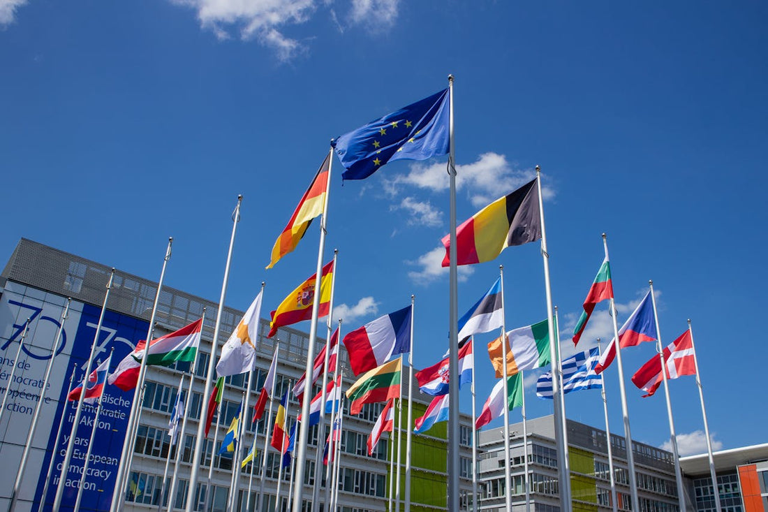 Fánar Evrópuríkja og fáni Evrópusambandsins sem tákn fyrir ERASMUS+ og tungumálanám erlendis