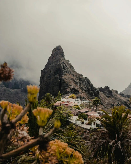 Einn dagur á Tenerife – spænskunám