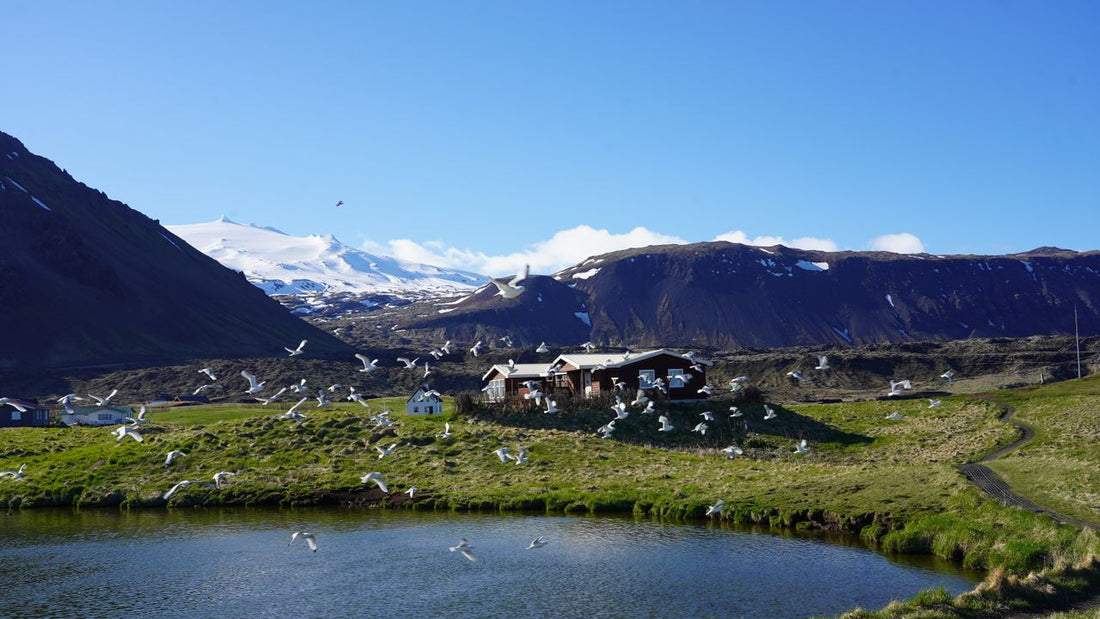 Íslenskt landslag með fjöllum, vatni og fljúgandi fuglum