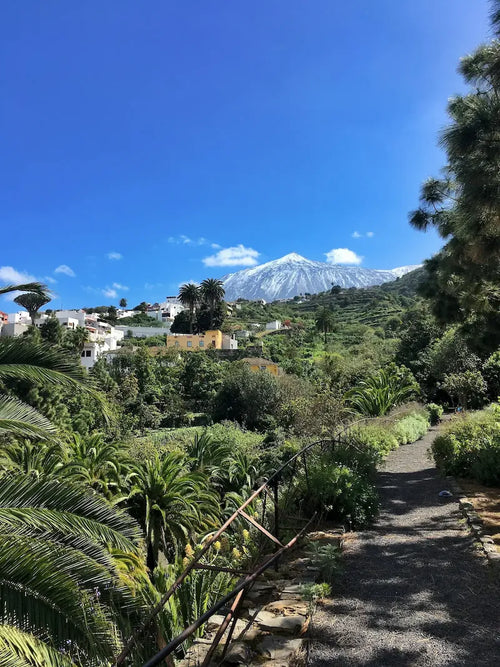 Spænskunámskeið á Tenerife í sólríku umhverfi á Kanaríeyjum